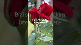 Allah Hım Kalplerimizi Temizle