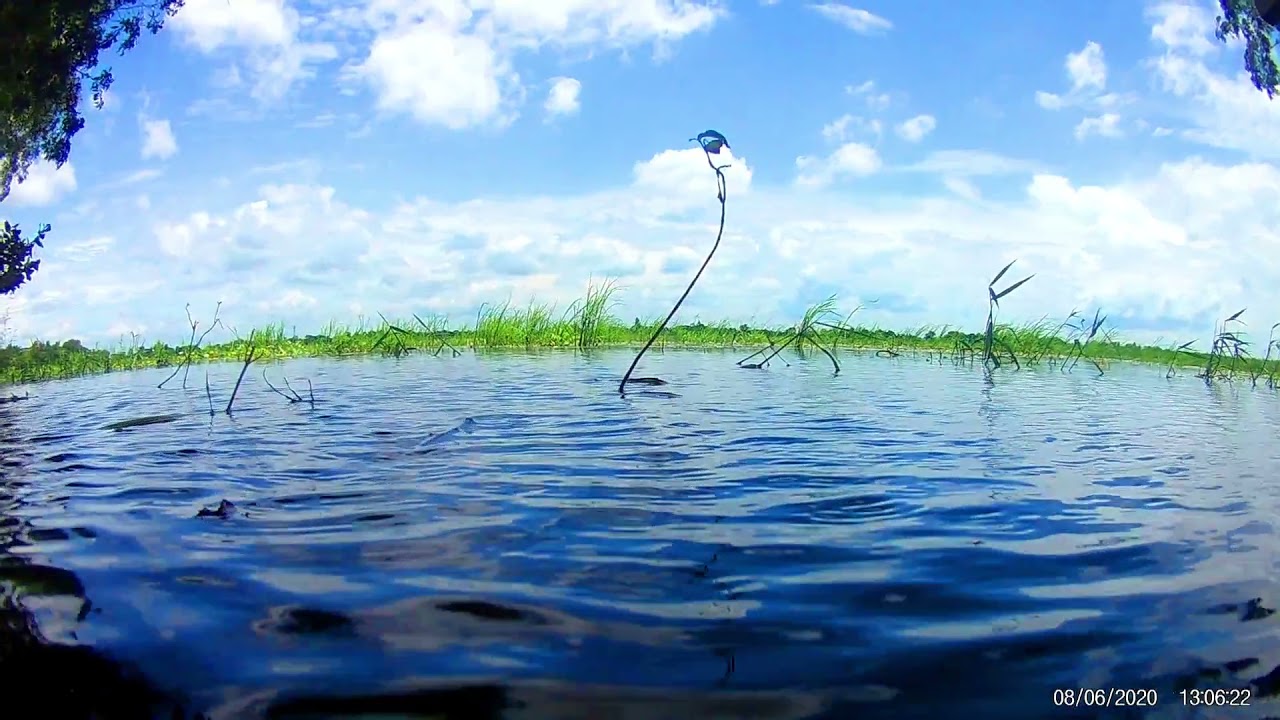 Ride onto the water | Walton Prism | Eye soothing |