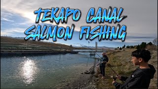 April 24,2024 Tekapo Canal Salmon Fishing