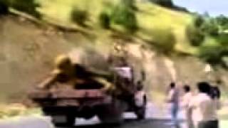 Turtle Youtube-The Giant Tortoise In Iran------