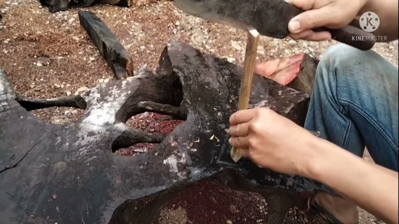 #สอนทำตอดไก่จากอุปกรณ์ที่หาได้ตามป่า ง่ายๆ