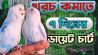 বাজরিগার পাখি পালনে লোকসান! খাবারের দাম বেশি, পাখির দাম কম - কীভাবে খরচ কমাবেন? screenshot 5