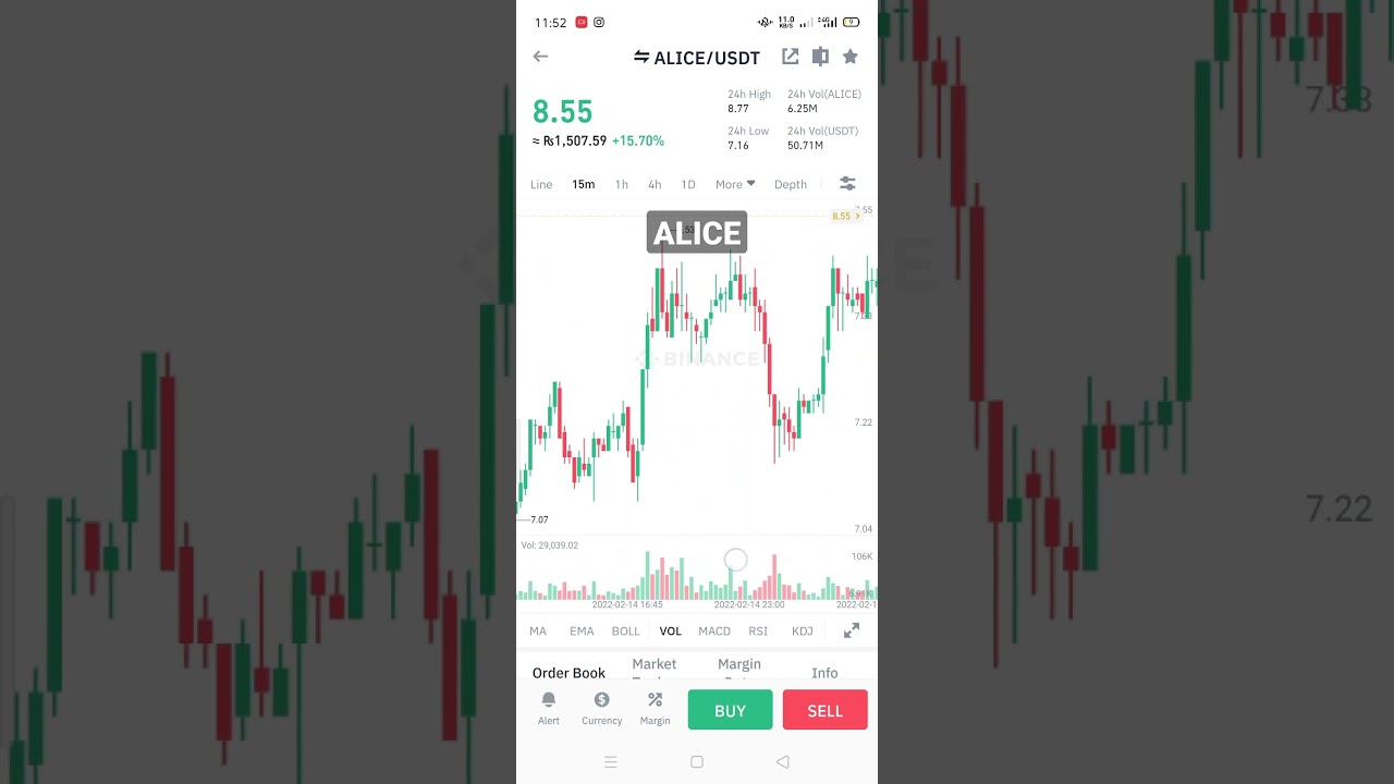 ALICE COIN / Crypto Updates 