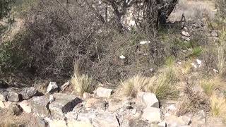 EAyT EDUCACIÓN, AMBIENTE Y TRABAJO- RUINAS DE LA CASA DEL OBISPO SALGUERO - OLAEN - PCIA. DE CÓRDOBA