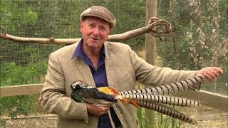 Dr Harry: House call for phascinating pheasants, Ep 43 (22.11.13)