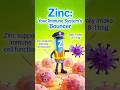 Zinc: Your Immune System’s Bouncer 🦠🚫