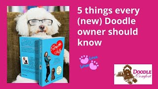 5 things every Labradoodle owner needs to know about grooming and more by Wanda Klomp 107 views 10 months ago 14 minutes, 2 seconds