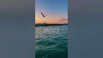 واذكر ربك اذا نسيت | محمد المنشاوي | راحة نفسية | تلاوة عطرة | تلاوة باكيه #اكسبلور #foryou