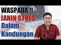 TANDA JANIN STRES DALAM KANDUNGAN - TANYAKAN DOKTER