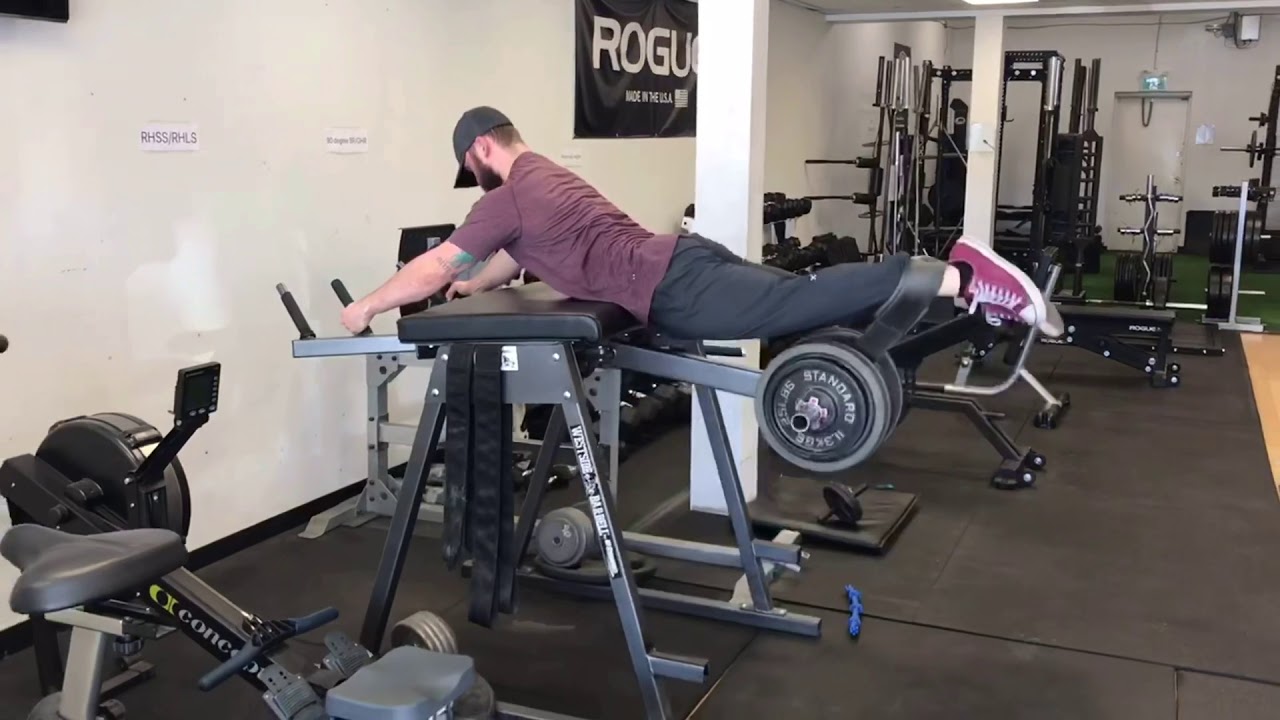 Reverse Hyperextension - YouTube