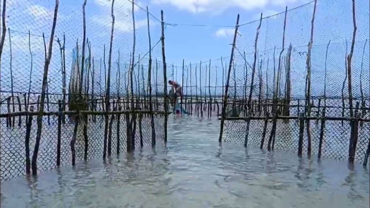 TRABALHO ARTESANAL!CHEGANDO NO CURRAL SÃO MIGUEL PRA UMA DESPESCA DE CURRAL NA PRAIA DE BITUPITÁ-CE 
