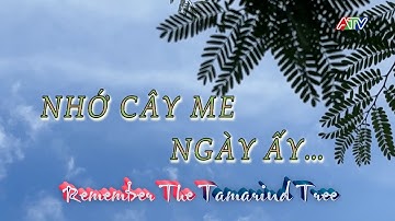 KÝ ỨC MIỀN QUÊ I NHỚ CÂY ME NGÀY ẤY
