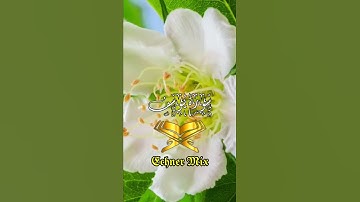 حالات واتس - سورة يوسف الاية (54) - الشيخ | سمير عزت