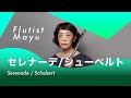 【ピアノ＆フルート】Serenade  /  F・Schubert  /  セレナーデ  /  シューベルト  /  白鳥の歌