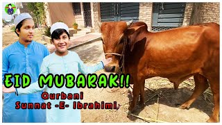 Eid Mubarak Vlog Qurbani Sunnat -E-Ibrahimi First Day Eid