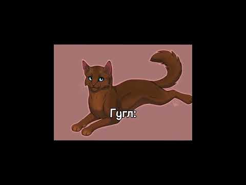 Как Гугл и