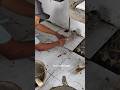 Ceramic floor installation method #construction #building #satisfying