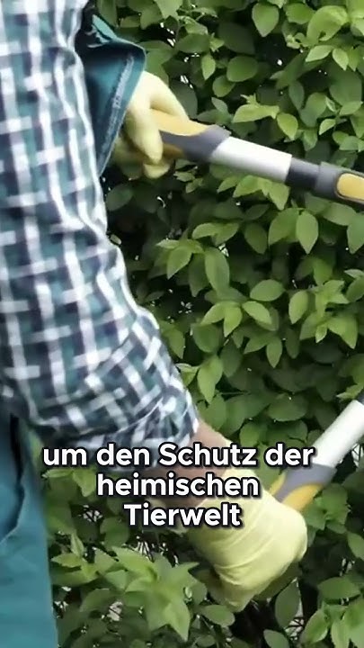 Das Bundesnaturschutzgesetz YouTube