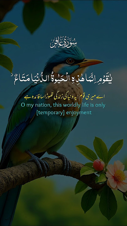 Quran Kareem tilawat Quran #quran #tilawat