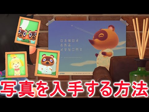 あつ森】早めに確認してほしい！たぬきちやしずえさんの写真入手方法 