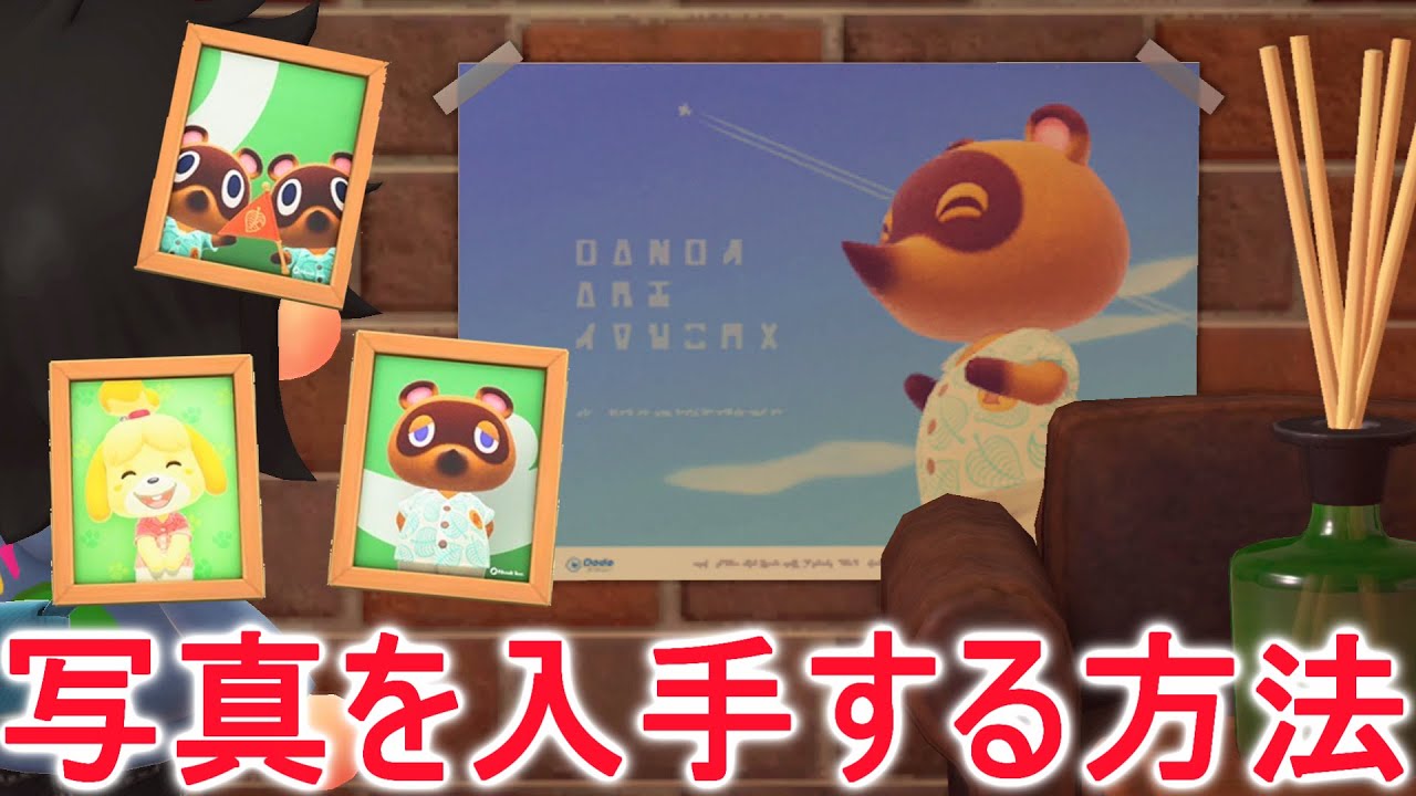 あつ森】早めに確認してほしい！たぬきちやしずえさんの写真入手方法  