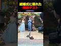 結婚式に現れた特別ゲスト
