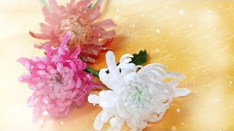 DIY - Craft tutorial -  How to Chrysanthemum by crepe paper - Làm hoa cúc đại đóa giấy nhún