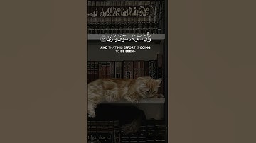 سورة النجم الشيخ ياسر الدوسري #قرآن #ياسر_الدوسري