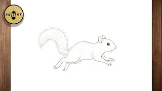 How to draw a squirrel running easy step by step for beginners