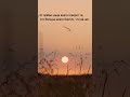 Афоризмы о жизни, одиночестве и свободе | Короткие философские размышления | Alex Lindenberg
