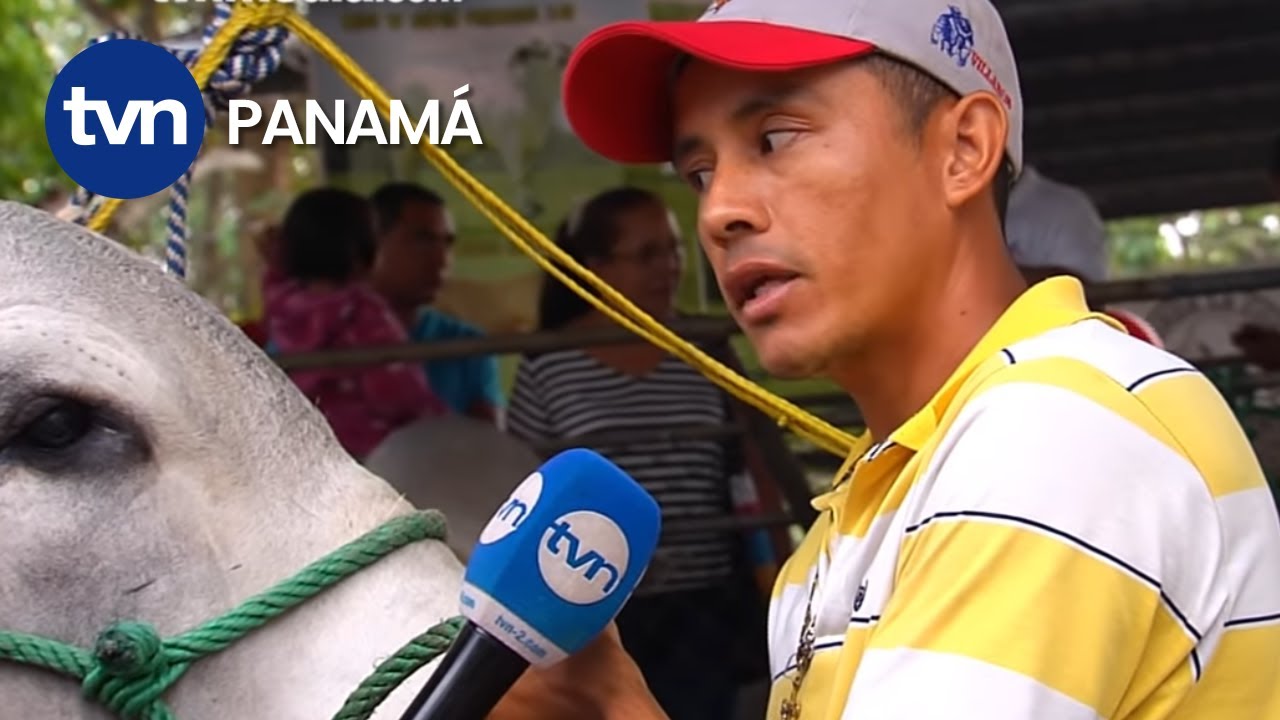 Hecho en Panamá 2015 Nueva temporada 31-1-15 | TVN Panamá