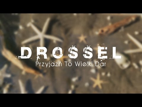 Przyjaźń to wielki dar