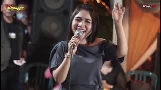 New Buangga Full Album Live Nyamplung Sumokali Netral Audio