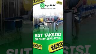 Sut taxi - Buzoqlarni oziqlantirish. #ferma #agro #buzoq #chorva #sut