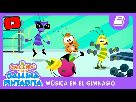 Creciendo Con La Gallina Pintadita Música En El Gimnasio