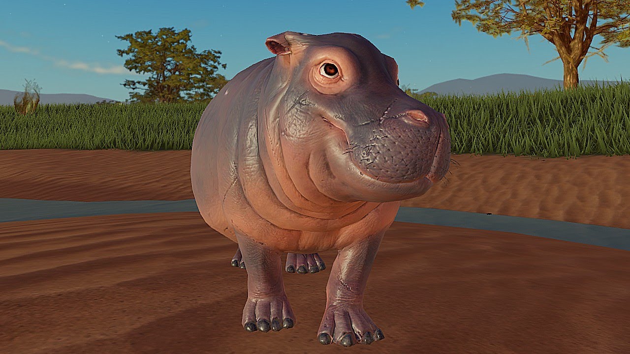 A vida de um HIPOPÓTAMO! De Filhote até Adulto! Savannah Life ROBLOX