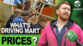 What Do Farmers Think Is Impacting On Prices?