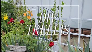 DIY TRELLIS made from old Pergola and Pallet #jigzm17 #thetravelingpaw #jardindeciutadella