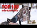 Top 100 wild boar hunts of boars and hunters season 1