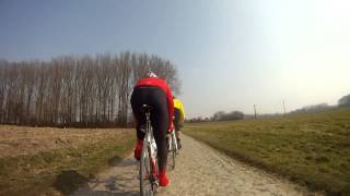 In the cobbled school of Museeuw