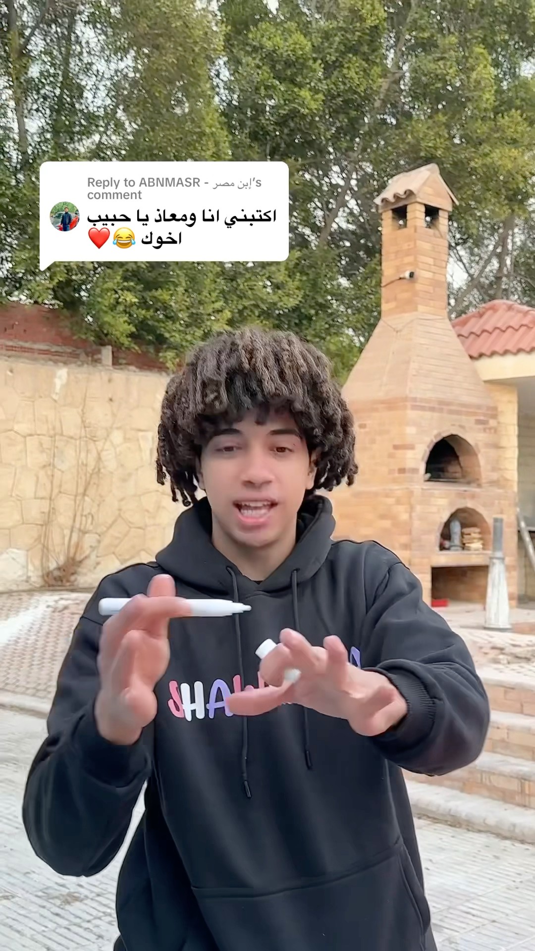 شاور و ابن مصر ?