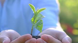 Youth Summit for a Resilient Colorado