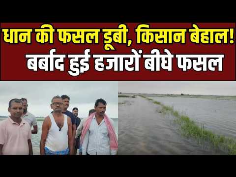 Chandauli News: उत्तर प्रदेश में बाढ़ की स्थिति गंभीर, चंदौली में जनजीवन अस्त-व्यस्त