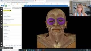 Lab 6 - Part 1 - Muscular system lab Wealth