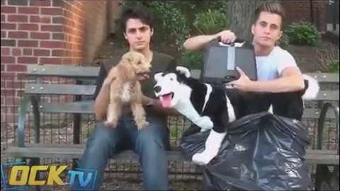 Batendo Em Cachorro No Meio Da Rua (Experimento Social)