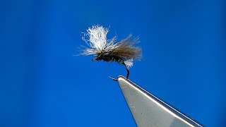 All-Rounder Midgecaddis Emerger Or Dry With Davie Mcphail