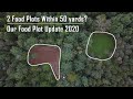 Check Out Our FOOD PLOTS | How “Micro Plots” Changed The Game