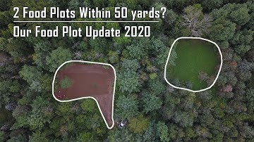 Check Out Our FOOD PLOTS | How “Micro Plots” Changed The Game