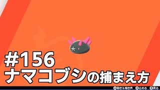 私のナマコブシ mqdefault.jpg