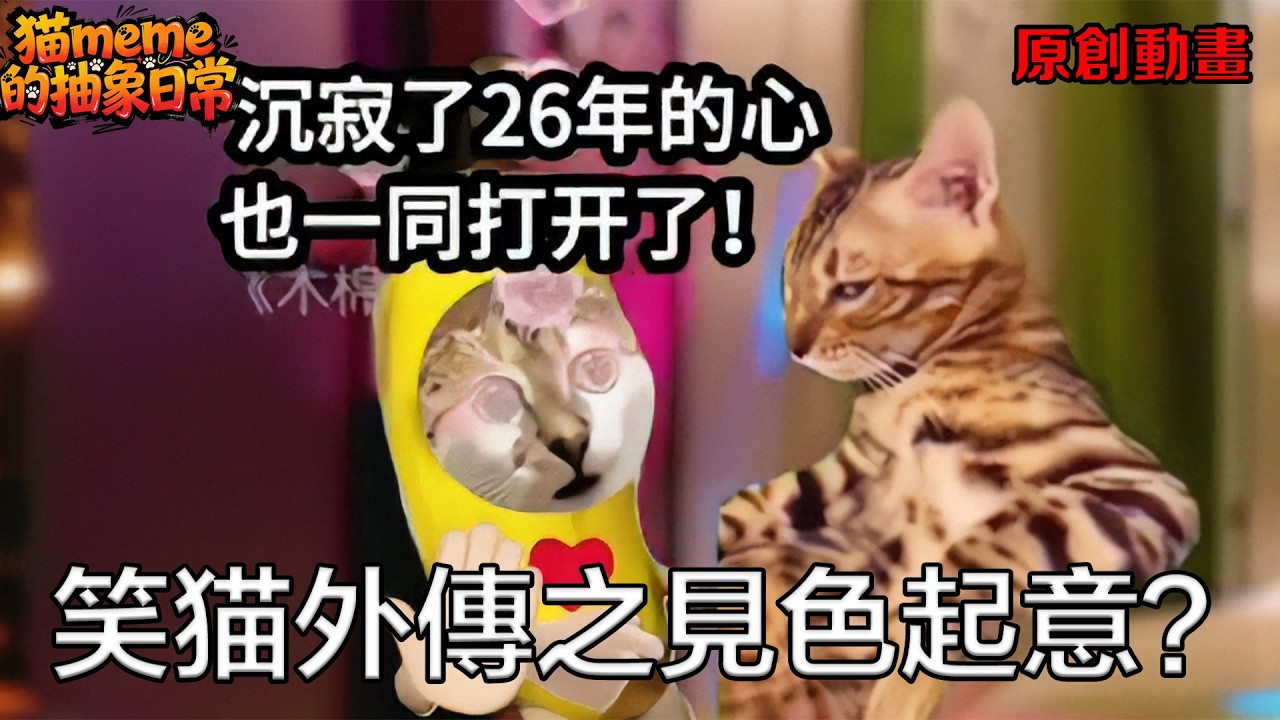 《木棉季队》第1~60集 纯欲貌美记者+痞帅队长+暧昧互撩+甜宠救赎。#女生必看 #超爆小故事 #甜#猫meme的抽象日常